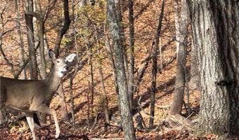 451403 Pheasant Cir Lot 56, Afton, OK 74331
