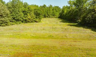 Beech Bluff Road, Beech Bluff, TN 38313