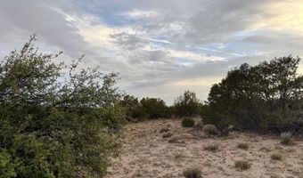 10 CR N 7341, Chambers, AZ 86502
