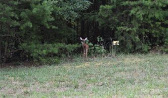 176 Mallard Dr, Badin Lake, NC 28127