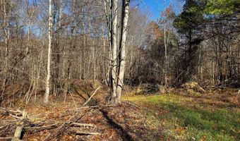 0 W Captina Highway Rd, Alledonia, OH 43902