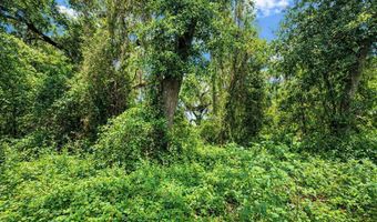 Tbd NE 52ND COURT, Anthony, FL 32617