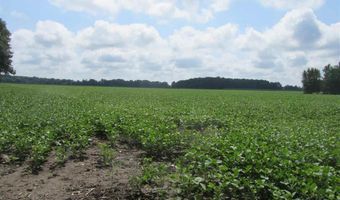 Capac Road, Armada, MI 48005