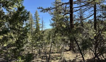 Horned Owl Way 385461, Bonanza, OR 97623
