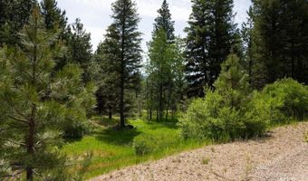 63 Price Loop, Cascade, ID 83611