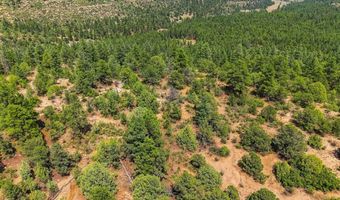 17775 County Road 51, Boncarbo, CO 81024