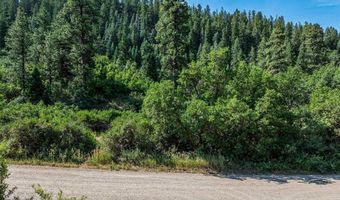 554 Pine Spring Dr, Bayfield, CO 81122