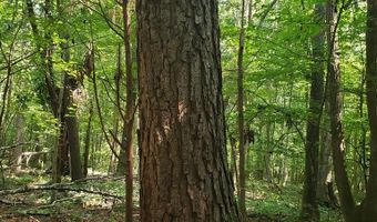 Wilkins Road, Alton, VA 24520