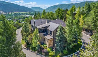 102 Wild Spring Ln, Basalt, CO 81621