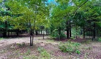 11161 S Centerpoint, Atoka, OK 74525