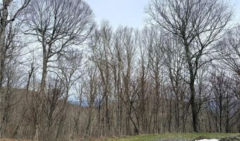 Chappell Farms N lot 5, Banner Elk, NC 28604