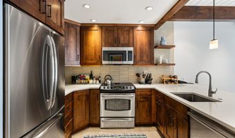 610 S West End St G204, Aspen, CO 81611