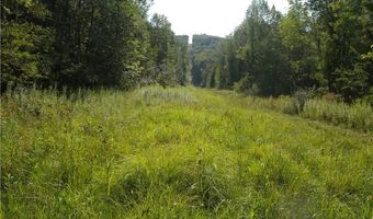 1454 Crane Ln, Woodhull, NY 14801