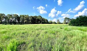 0 BAILEY Rd, Baileyton, AL 35019