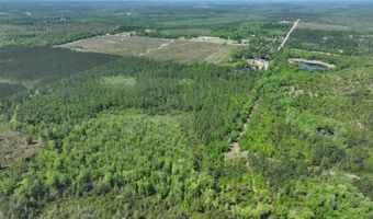 xxx County Hwy 73, Altha, FL 32421
