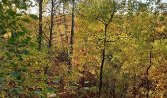 31538 County 23, Akeley, MN 56433
