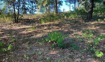 Sunshine Rd lot 2, Andalusia, AL 36421