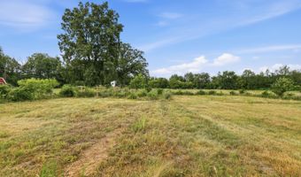 10887 60th St SE, Alto, MI 49302