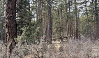 Bufflehead Drive TL 10, Bonanza, OR 97623