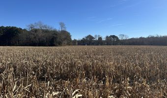 0 Bivalve Lodge Rd, Bivalve, MD 21814