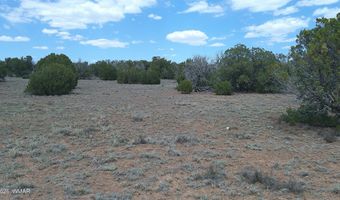 Show Low Pines Lot 189, Concho, AZ 85924