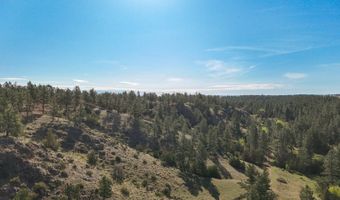NHN Tongue River Rd, Ashland, MT 59003