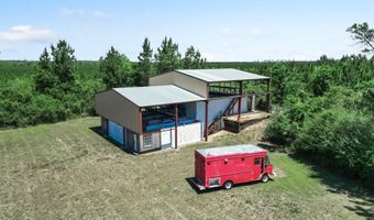 17668 Flatwoods Rd, Altha, FL 32421