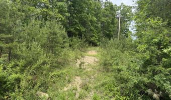Ashland Camp Loop lot 165, Beattyville, KY 41311