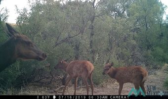 888 Las Palomas Canyon Rd, Caballo, NM 87942