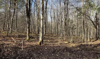 LOT 8 Benton Hill Rd, Becket, MA 01223