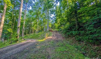 Amber Ranches 47, Bakersville, NC 28705