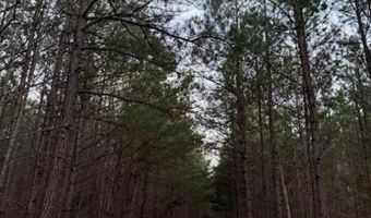 Piney Mountain Road lot 7, Appomattox, VA 24522