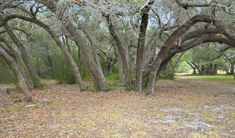 1402 W Johnson Ave, Aransas Pass, TX 78336