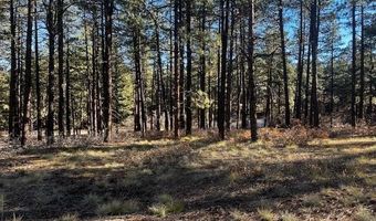 57 Deer Trl, Bayfield, CO 81122