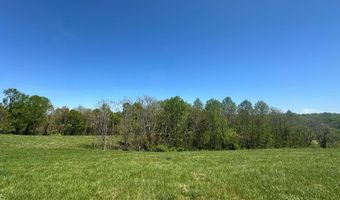 H O Allison lot 9 & 10, Baxter, TN 38544