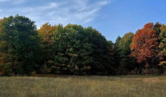 303 Westwood Rd NW, Alden, MI 49612