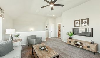 805 Twin Pine Ct, Anna, TX 75409