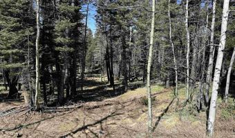 1451 El Camino Real, Angel Fire, NM 87710