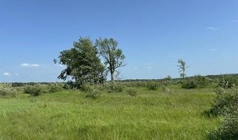 Sunset Boulevard 52, Alanson, MI 49706