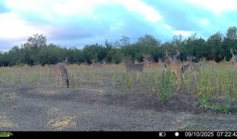 1121 Other, Alice, TX 78342