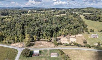 825 Middle Creek Rd, Afton, TN 37616