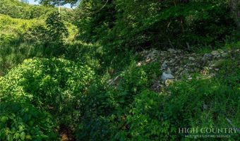 455 Shawnee Rd, Banner Elk, NC 28604