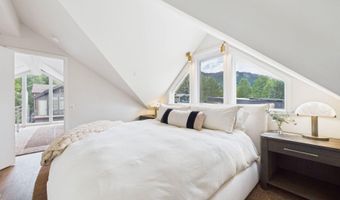 915 E Hopkins Ave 4, Aspen, CO 81611