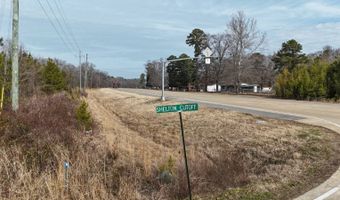 TBD Hwy. 425, Bastrop, LA 71220