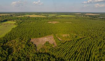 Mann Road, Arabi, GA 31712