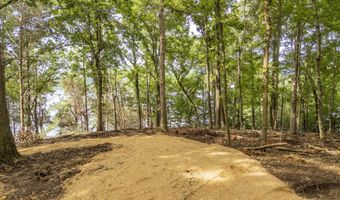 NELLS KNOB Cv, Bath Springs, TN 38311