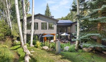 1145 Black Birch Dr, Aspen, CO 81611