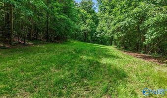 Unit # 0 Murphree Valley Road, Altoona, AL 35952