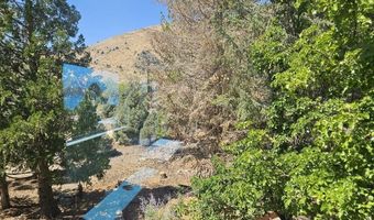 2026 Masonic Dr, Gardnerville, NV 89410