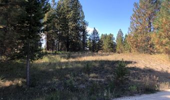 1909 Gold Dust Rd 60, Cascade, ID 83611